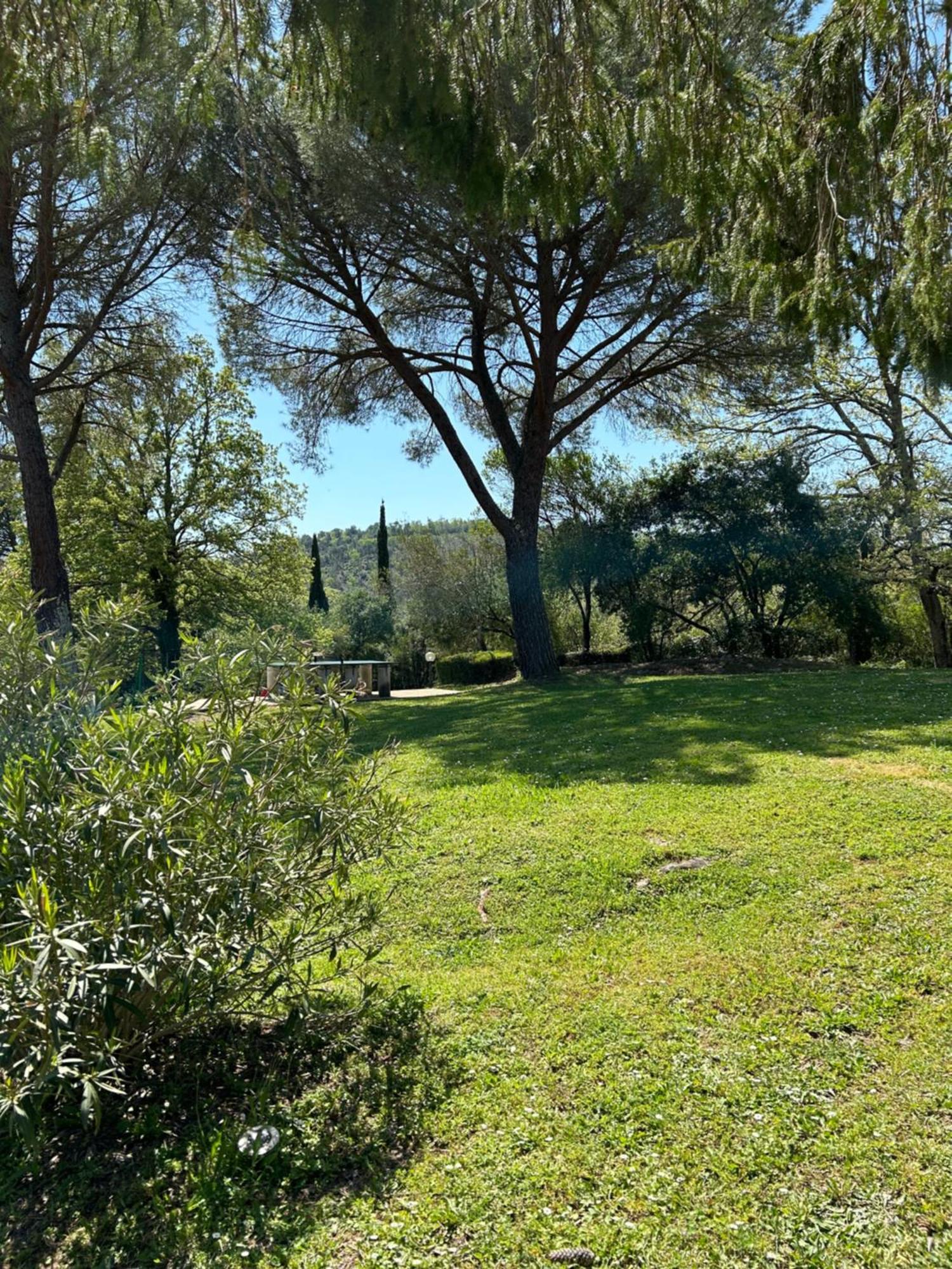 Campo Di Carlo Pensionat Sassetta Eksteriør billede