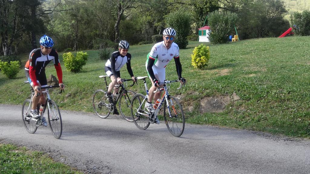 Campo Di Carlo Pensionat Sassetta Eksteriør billede